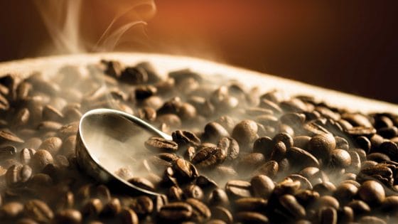 coffee-roasts