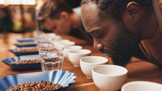 дегустатор кофе, каппер или cup-taster